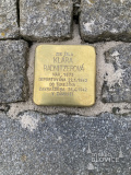 Klára Radnitzerová