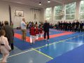 Velká cena karate