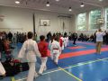 Velká cena karate