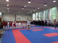 Velká cena karate