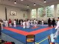 Velká cena karate